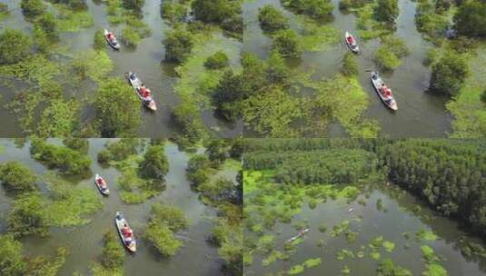 越南 自然 河道高清在线视频素材下载