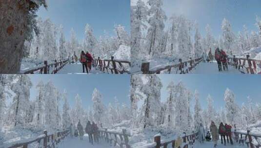 高清实拍瓦屋山冬天雪景雪山森林高清在线视频素材下载