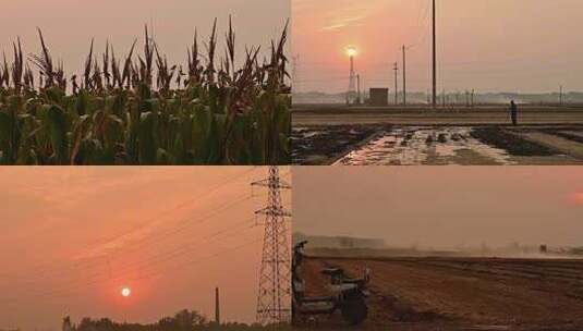 落日余晖乡间田野高清在线视频素材下载