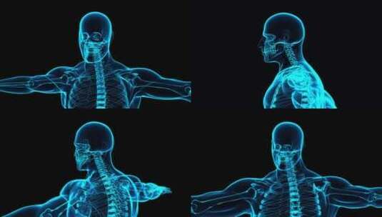 人体骨骼透视全息高清在线视频素材下载