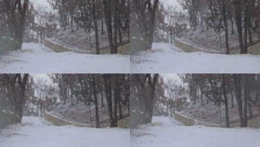威海里口山雪中的山间小路高清在线视频素材下载