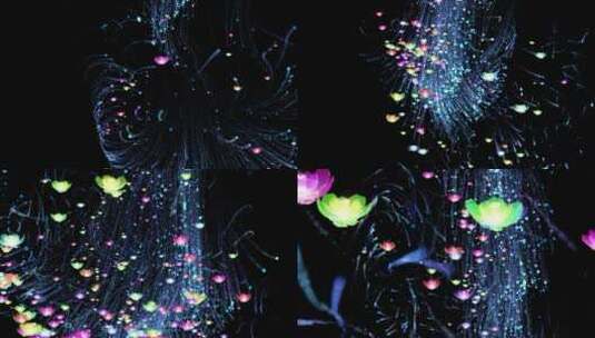 粒子花朵流体唯美炫彩落下高清在线视频素材下载