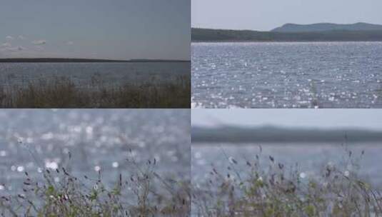 黑龙江湖面高清在线视频素材下载