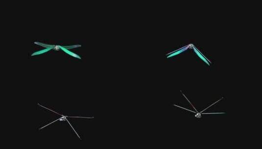 彩色蜻蜓特效背景高清在线视频素材下载