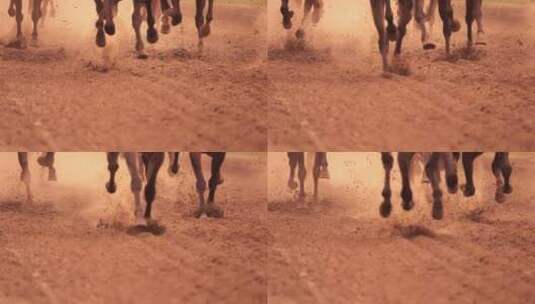 飞驰的骏马拍摄素材高清在线视频素材下载