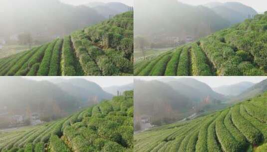 航拍杭州龙井茶产地梅家坞高清在线视频素材下载