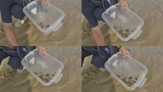 沙滩上海水冲刷贝壳，赶海高清在线视频素材下载