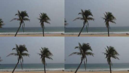 航拍海边椰子树 沙滩高清在线视频素材下载