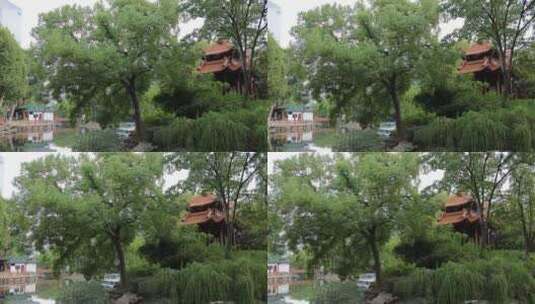武汉历史名园中山公园高清在线视频素材下载