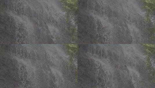 山间瀑布水流植物慢动作高清在线视频素材下载
