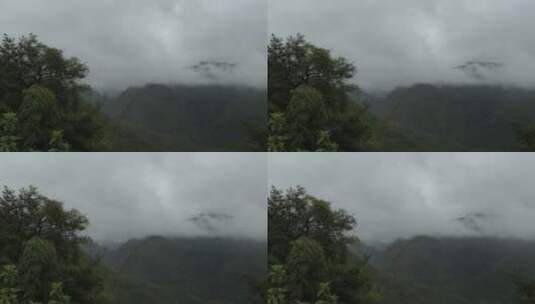 深山雨林夏季雨季云雾缭绕高清在线视频素材下载