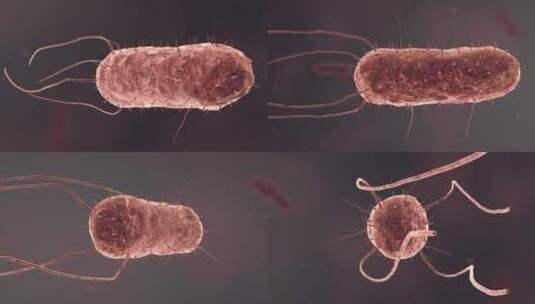 医疗病菌病毒细菌分子病原体生物三维动画高清在线视频素材下载