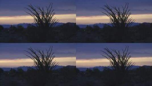 日落后的亚利桑那沙漠景观高清在线视频素材下载