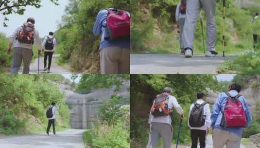 一群老朋友沿着乡间小路徒步旅行登山杆退休高清在线视频素材下载