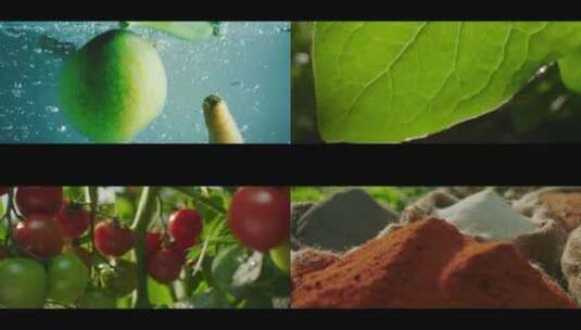 瓜果蔬菜美食西餐制作全过程高清在线视频素材下载