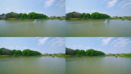 广州海珠国家湿地公园湖泊游船自然风光高清在线视频素材下载