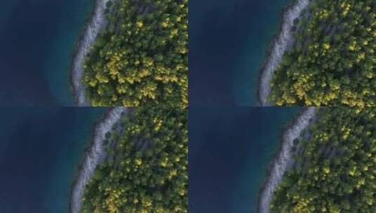 4K树林森林草原河流雨林夏日春季春天夏天高清在线视频素材下载