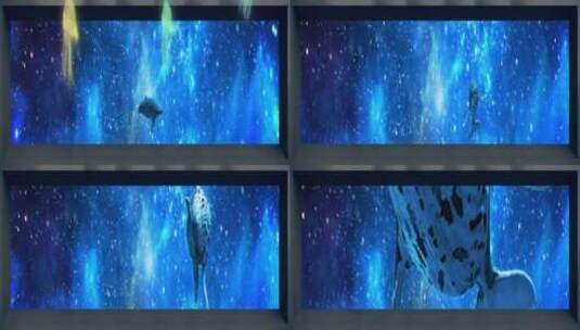 海底3D鲸鱼高清在线视频素材下载