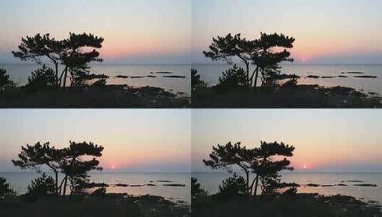 红日从海上在松树的映衬缓缓升起在高清在线视频素材下载
