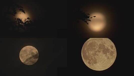 中秋节月亮高清在线视频素材下载