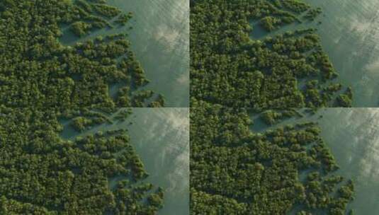 巴西日落时海水之间巴拉·格兰德红树林的空中自上而下照片高清在线视频素材下载
