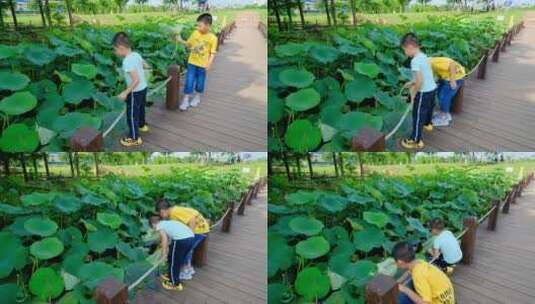 夏天儿童小孩 小朋友小学生池塘边玩水高清在线视频素材下载