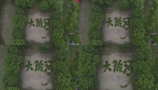 鲁汇镇大治河公园（上海闵行区）4K航拍高清在线视频素材下载