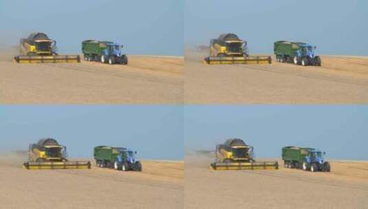 收割机收割小麦 小麦收割 农业机械高清在线视频素材下载