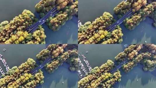 中国杭州西湖杨公堤秋日美景高清在线视频素材下载