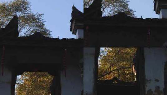江南徽派古建筑马头墙秋天光影高清在线视频素材下载