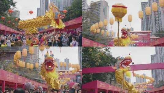 龙年舞龙春节喜庆表演  中国传统文化高清在线视频素材下载