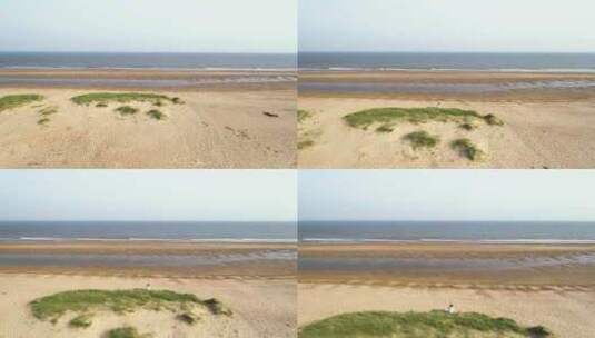 雄性坐在沙丘上眺望大海，清晨在霍尔姆退潮高清在线视频素材下载