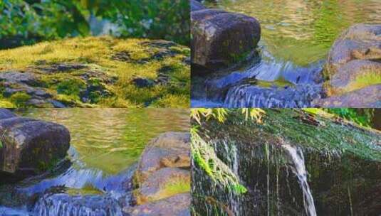 阳光照耀下青苔上清澈的溪水静静流淌特写高清在线视频素材下载