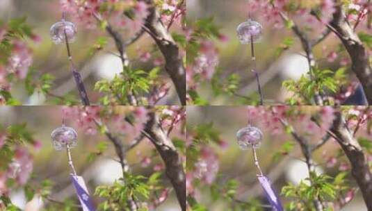 樱花 树下飘动的 风铃特写 风铃高清在线视频素材下载