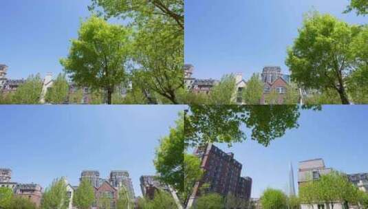 地产镜头从树上转换到楼体高清在线视频素材下载