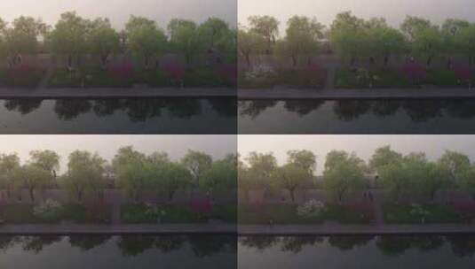 杭州西湖断桥桃红柳绿高清在线视频素材下载