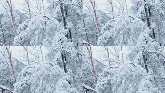 伏牛山冬季雪景雾凇高清在线视频素材下载