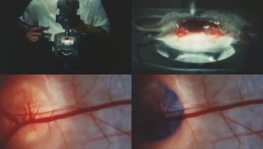 上世纪 50年代 60年代 70年代 生物试验高清在线视频素材下载