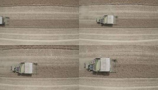 联合收割机收麦子NO15高清在线视频素材下载