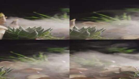 4K竖屏水雾中的笋和菌菇高清在线视频素材下载
