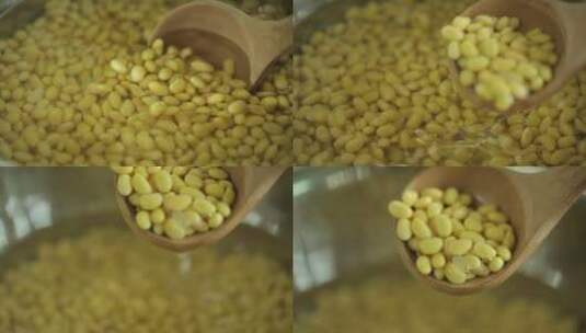 泡发的黄豆高清在线视频素材下载