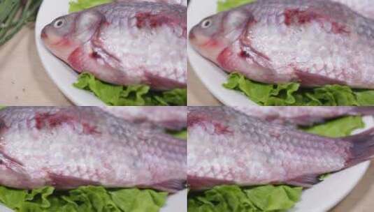 鲫鱼和鱼籽高清在线视频素材下载