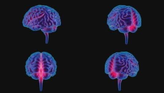 医学 大脑 脑科学 三维 脑ct1 模型高清在线视频素材下载