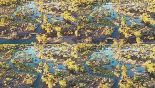 阿拉善盟额济纳旗弱水胡杨林景区航拍高清在线视频素材下载