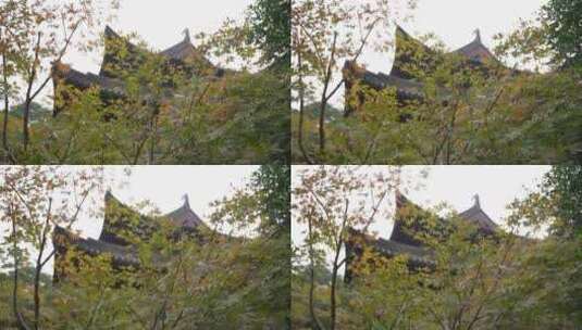 杭州三台山景区慧因高丽寺高清在线视频素材下载
