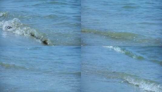 海浪沙滩高清在线视频素材下载