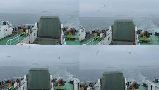 山东蓬莱-长岛海上游船，海上观光喂海鸥高清在线视频素材下载