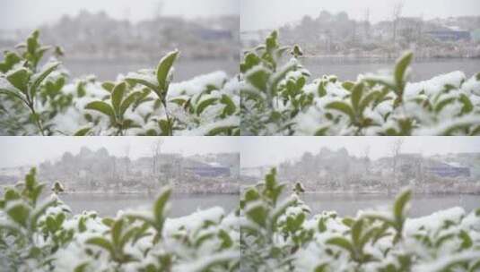 下雪的湖面高清在线视频素材下载