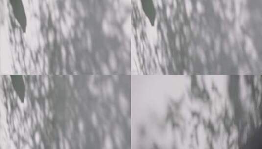 【原创】树叶光影在白墙上高清在线视频素材下载
