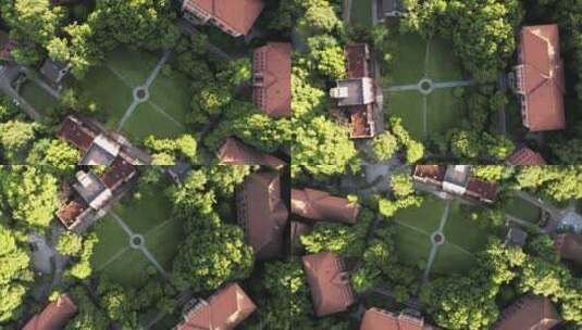 航拍绿树丛中花园别墅豪宅高清在线视频素材下载